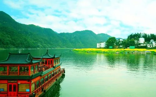 智能高性能全自动